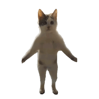 小猫